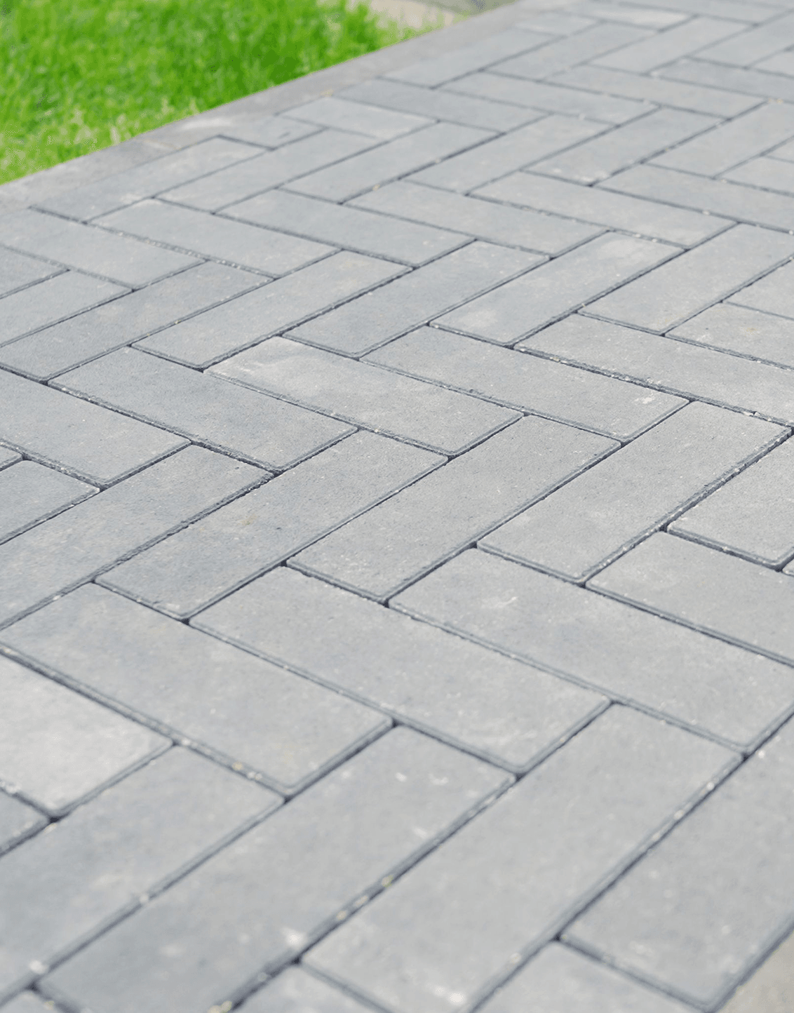 Paver-pathway-nyc-v1