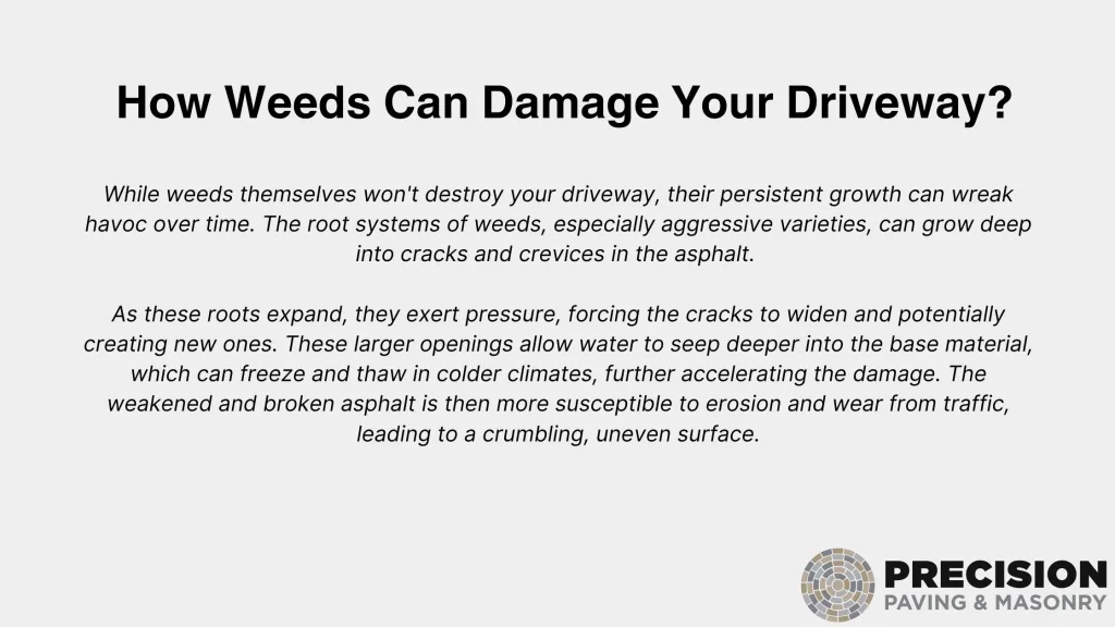 How Weeds Can Damage Your Driveway