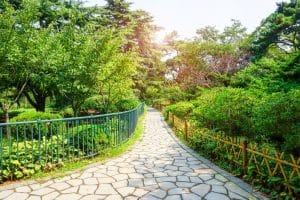 Serene garden patio with lush greenery and comfortable seating, creating a perfect outdoor retreat.