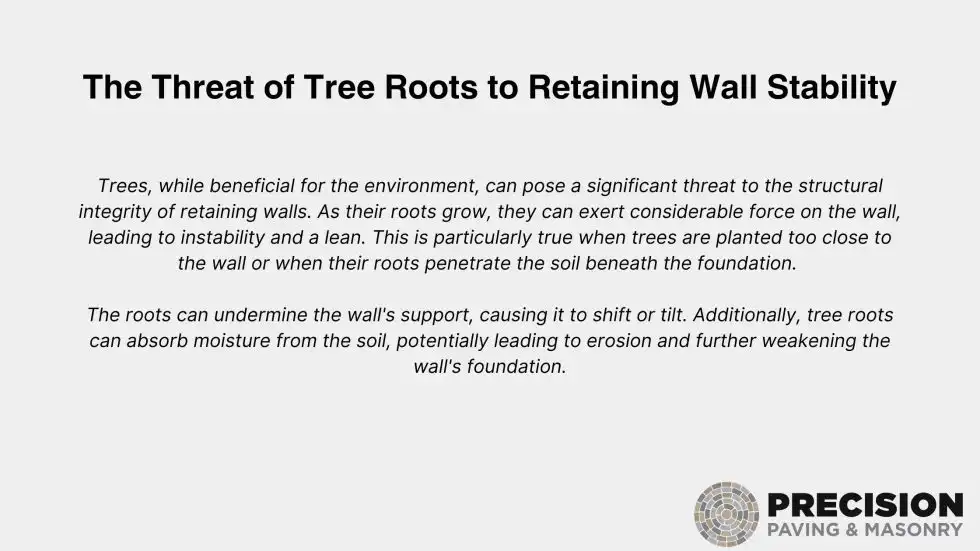 Threat Of Tree Roots To Retaining Wall Stability